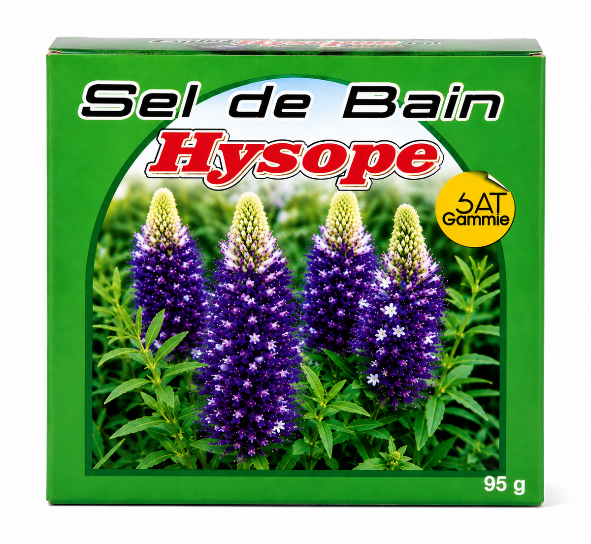 Sel de Bain Hysope – 95 g