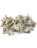Sauge Blanche Séchée – Feuilles Naturelles